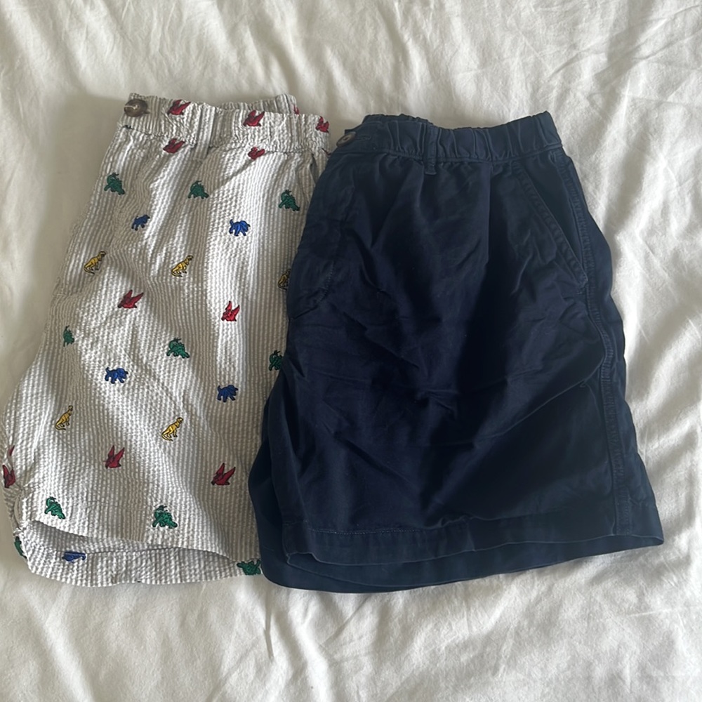 Chubbies Shorts, Size Large 5 inch inseam
